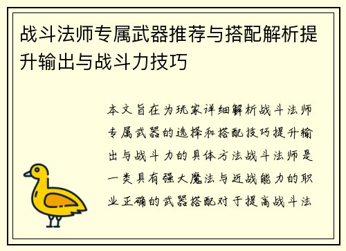 战斗法师专属武器推荐与搭配解析提升输出与战斗力技巧