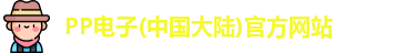 PP电子